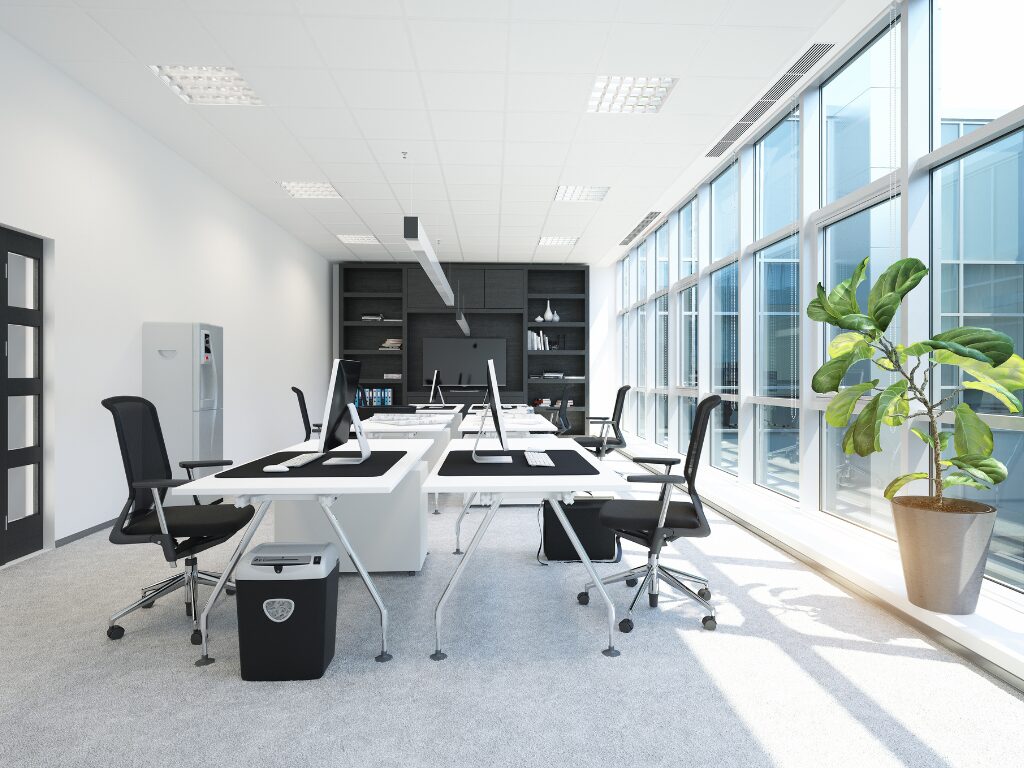 Modern office interiors in black and white with a large decorative plant against floor to ceiling windows, office design funded by fitout finance