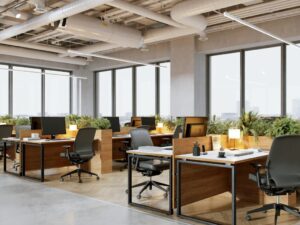 A bright photo of a modern office with wood and black metal finishes and plant decorations, concept photo of an office after a fitout project