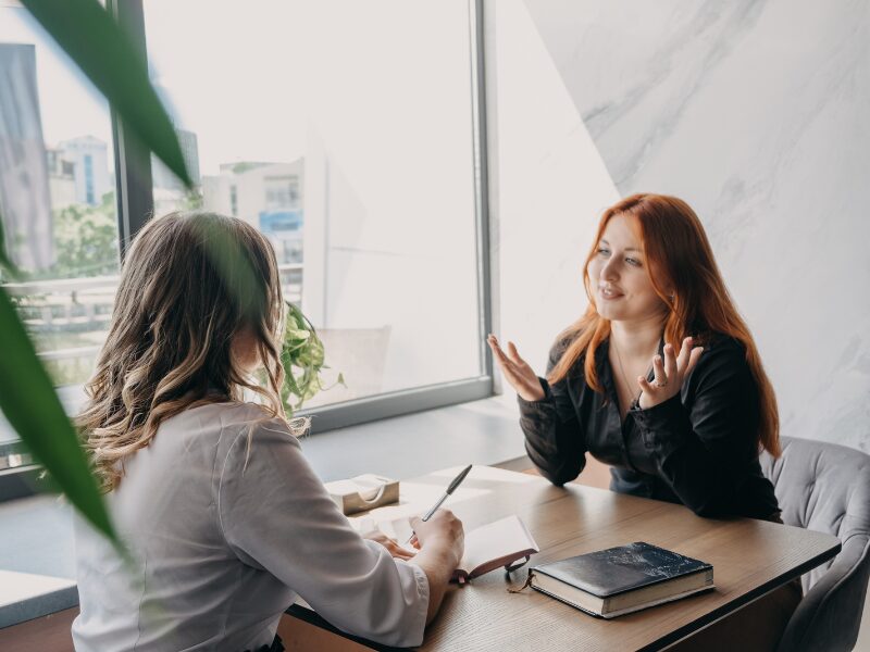 Two women having a meeting, a client meeting between a borrower and a mortgage broker or a lender