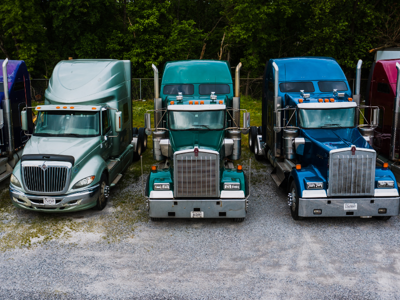 A row of different coloured large freight trucks