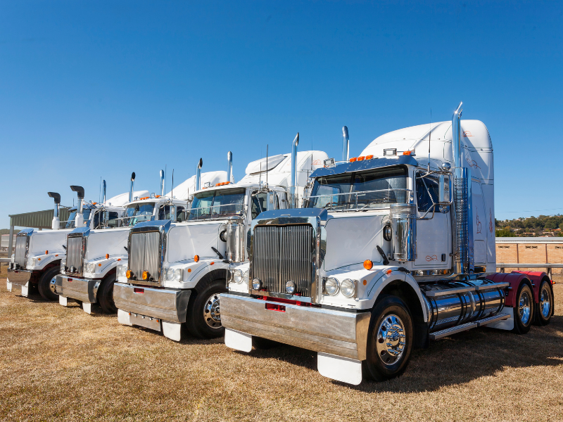 A row of parked large freight trucks