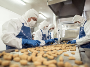 Workers at a food manufacturing plant working the production line